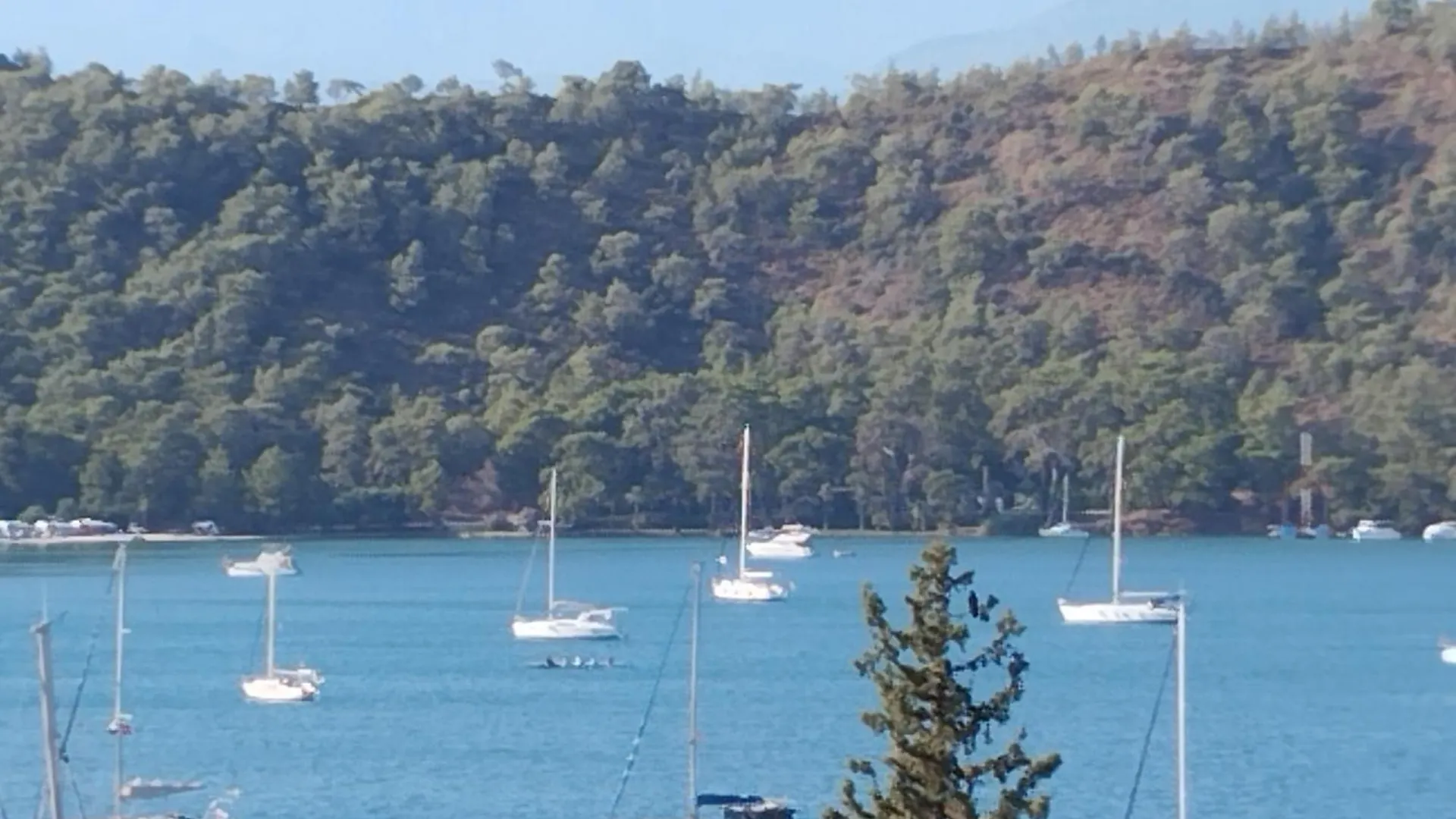 Duygu Apart Spellbinding Sea Views Фетхие 2*,